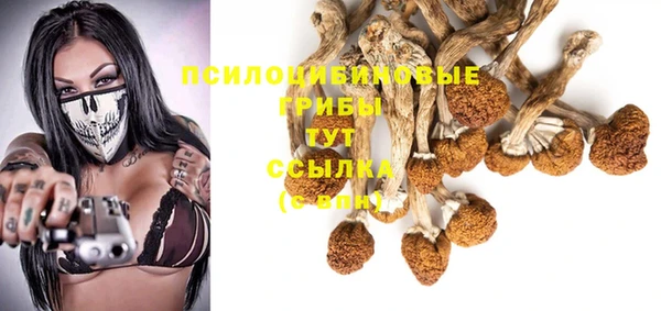 тгк Алексеевка