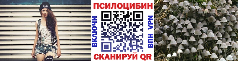 ссылка на мегу ONION Ковылкино Галлюциногенные грибы Cubensis